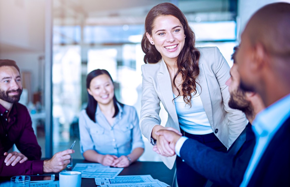 people shaking hands in a business meeting large