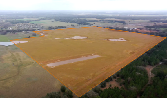 photo for Amazon Purchases Pasco County Ready Site Off FL52 article. Click to read more.